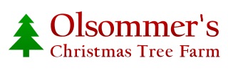Olsommer's Christmas Tree Farm